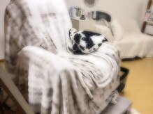 リンダ(Linda)の雰囲気(電動リクライニング★妊婦さんや腰痛持ちの方◎高さ調節可能☆)