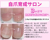 ミミ(mimi)