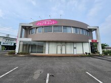 アップルミント/外観