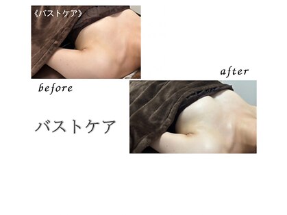 リリー(Lily)の写真