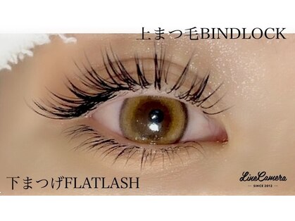 ブルズアイ 羽曳野店の写真