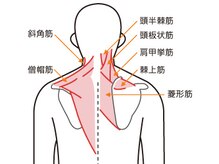 亀有整体院 阿部カイロプラクティック研究所の雰囲気（肩・背中・腰・股関節・膝など酷い凝り・違和感を療術します。）