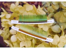 アイラッシュサロン イオ(Eyelashsalon io)/モスグリーン＆シトラスグリーン