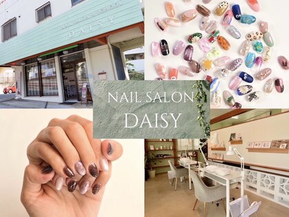 デイジー(DAISY)の写真