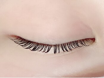 セレビアイ 銀座店/まつ毛パーマ【Cカール】