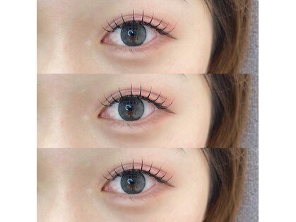 ラッシュベイビー(LASH Baby)の写真