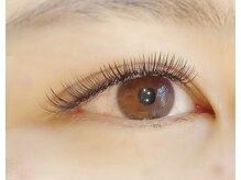 キャリコ(Calico)/長さ・本数ナチュラル仕上げ