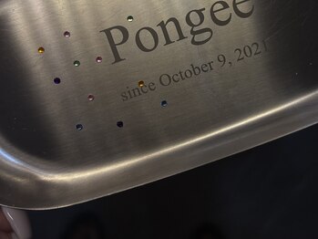 ポンギー(Pongee)/ストーン