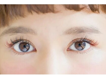 エリオ(elio)の写真