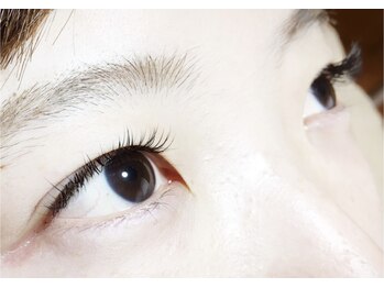 スターリィ スカイ(Starry☆Sky)/【セーブルラッシュ】