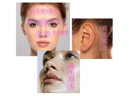 ボニー(BONNY)の写真