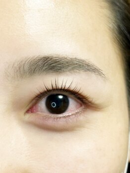 スプリング(Spring)/