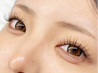 ヨリソウ アイラッシュ(Yorisou Eyelash)の写真