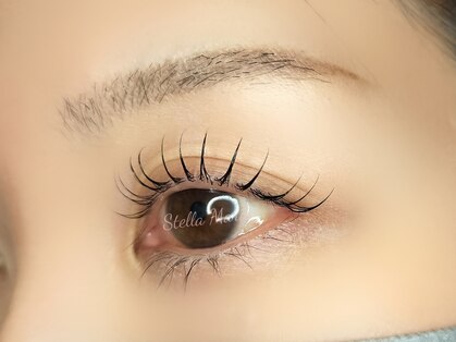 ステラマリス 今福鶴見店(StellaMaris)の写真