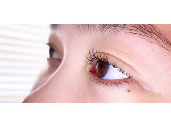 ロカヒ(Lokahi)/根本の立ち上がり！