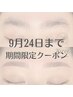【リピーター様】前回の来店から4週間以内の方★美眉Waxスタイリング¥4300