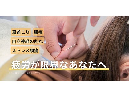 トキハナ アンド アマト(AMATO)の写真