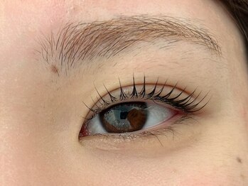 Leinyの写真/お仕事などでエクステが出来ない方、ナチュラル派の方に特におススメ◎韓国風からパッチリお目元まで♪