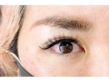 ドットイチイチマルイチ 銀座店(DOT1101)/上+40束