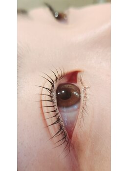 コア(Koa)/どの角度も美しく