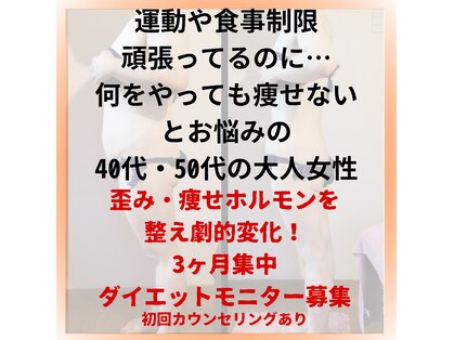シェーン(Schon)の写真