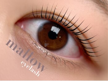 マロウアイラッシュ(mallow eyelash)