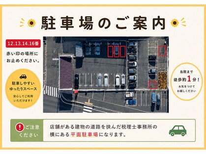 整体院 ヒマワリ(himawari)の写真