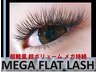 【持続×ボリューム重視!付け放題90分】メガフラットラッシュ¥9700