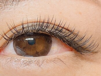 ビューティマーケット アングゥ(BEAUTY MARKET ungu)/フラットラッシュ140本