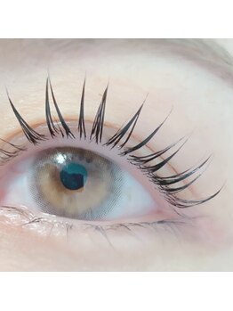 エムアンドコウ(M&Co.)/まつげパーマコーティング仕上げ