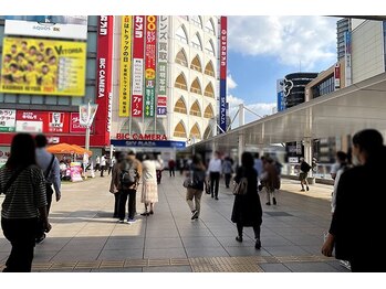 ハリス(HARIS)/道順1