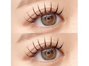 フーフロー(Fooflow)/フラットラッシュ140本