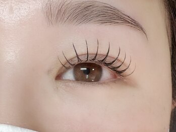 スリジエ(Cerisier)/フラットラッシュ 100本