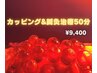 効果抜群！疲労、肩こり、むくみ、腰痛【オイル＋カッピング＋鍼ケア50分】