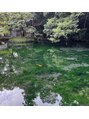 メンテ 新白岡店(mainte)&nbsp;佐野市にある通称モネの池です。お水が澄んでて魚が宙に浮いて！