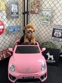 カイ(KAI) やんちゃで甘えん坊の愛犬♪