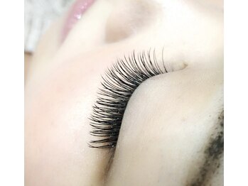 ディシェーレ アスト(die-Schere Ast)/フラットラッシュ140本