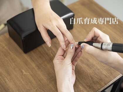 コバコ(kobaco)の写真