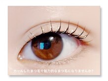 アルセ(arce)/『カールデザイン』