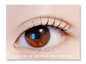 アルセ(arce)/『カールデザイン』