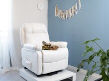 プリズムアイ(Prism eye)/こだわりのリクライニングチェア