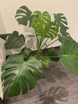 コモレビ 豊橋三ノ輪店(komorebi)/元気いっぱいです♪