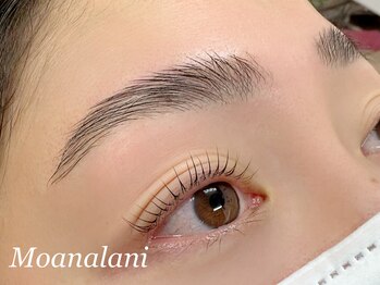 モアナラニ(MoanaLani)/【HOLLYWOOD BROW LIFT&まつパ】