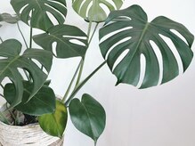 アイラ ルアナ 府中(aira LUANA)