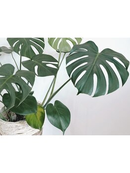 大人女性向けこだわりサロン