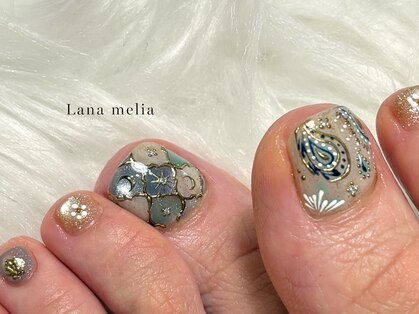 ラナメリア(Lana melia)の写真