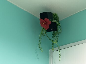 ソービュート(SO BEAUTE)/スピーカー