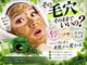 ナンバー19(N°19)の写真