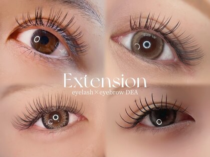 デア(DEA)の写真