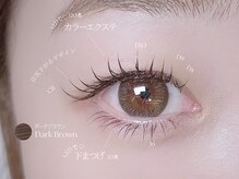 マミノン 武蔵小杉(Maminon)/【マツエク上下】ダークブラウン